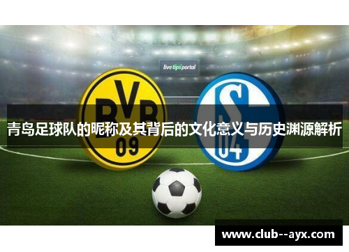 青岛足球队的昵称及其背后的文化意义与历史渊源解析