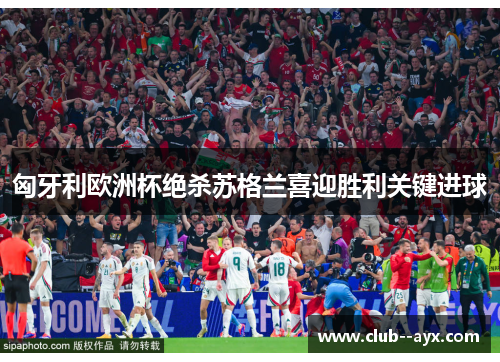 匈牙利欧洲杯绝杀苏格兰喜迎胜利关键进球